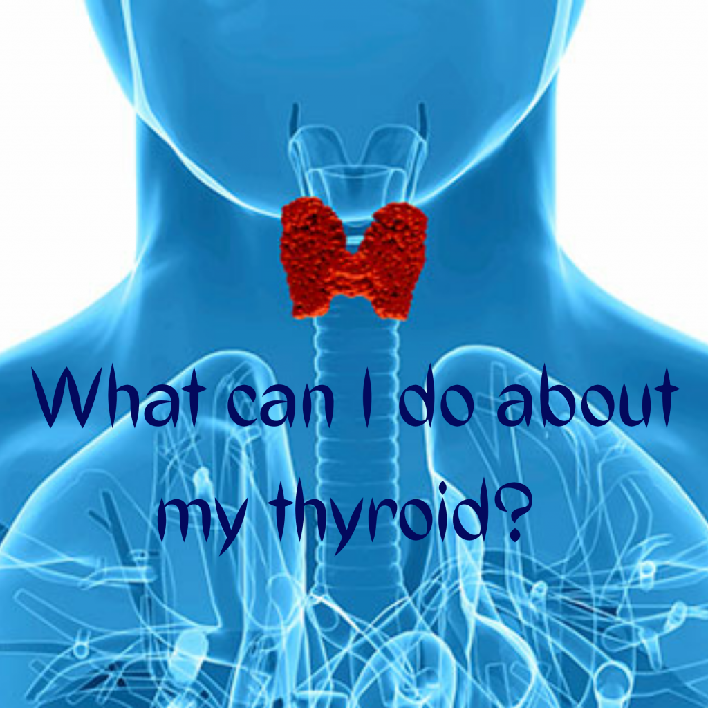 Adrenal series 1 – Do I have a Thyroid issue?